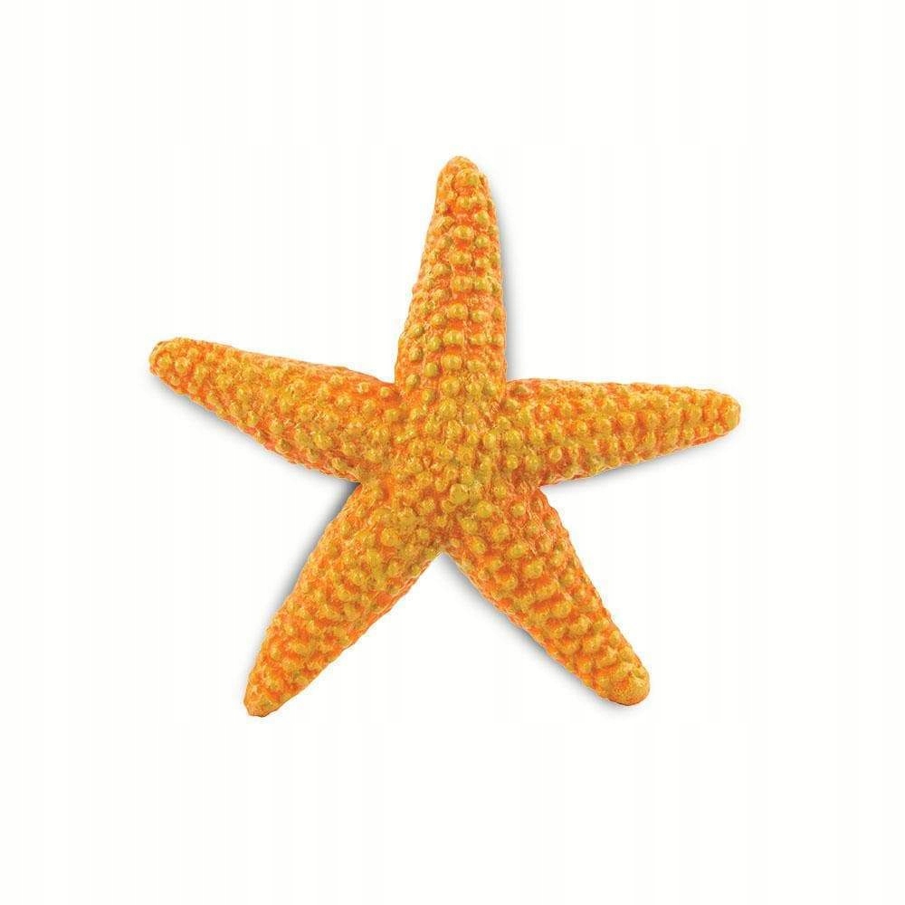 

Rozgwiazda Starfish Safari Ltd. 276829