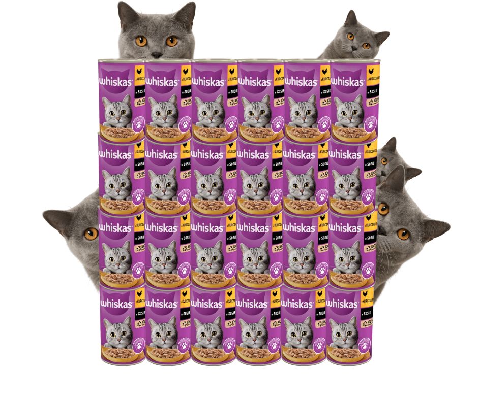 Levně Krmivo mokré Whiskas Adult Kuře v omáčce 400 g 24 konzerv