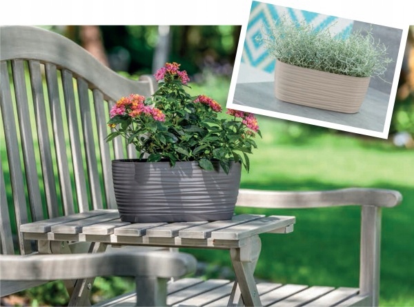 SKRZYNECZKA Z PODSTAWKĄ SAHARA dł. 27CM GRAFIT MAT Form-plastic Kod producenta 3110-014