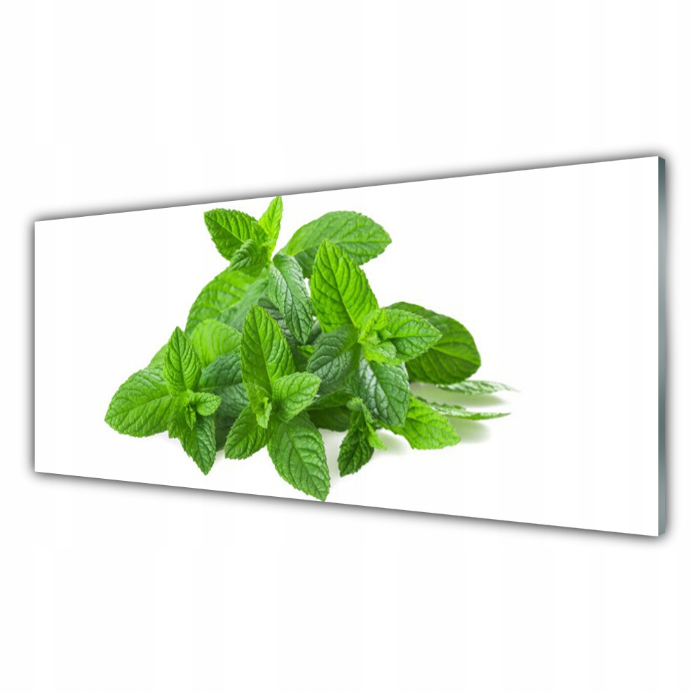 

Obraz akryl z grafiką 125x50 Mięta Roślina Natura