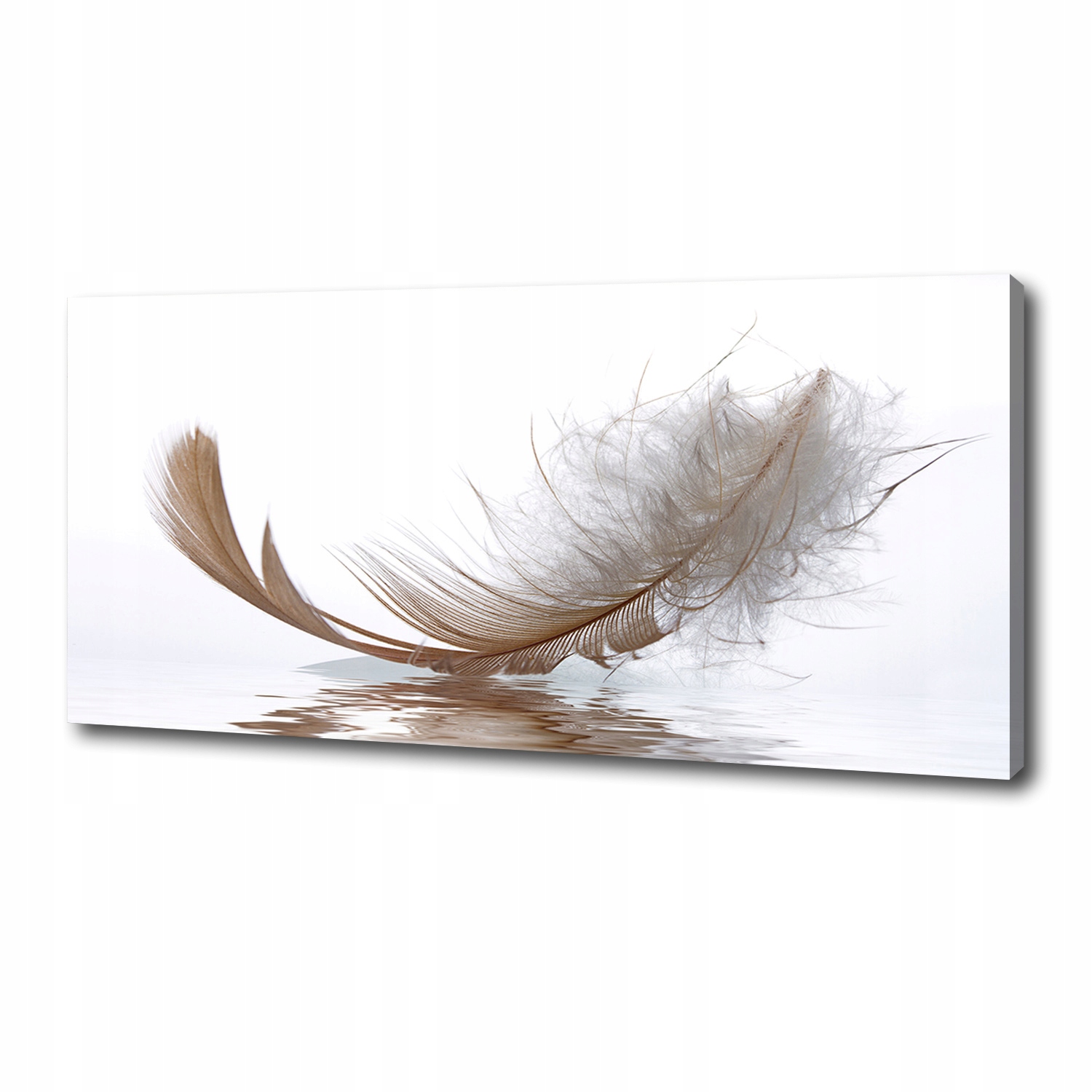 

Foto obraz na płótnie Piórko na wodzie 125x50 cm