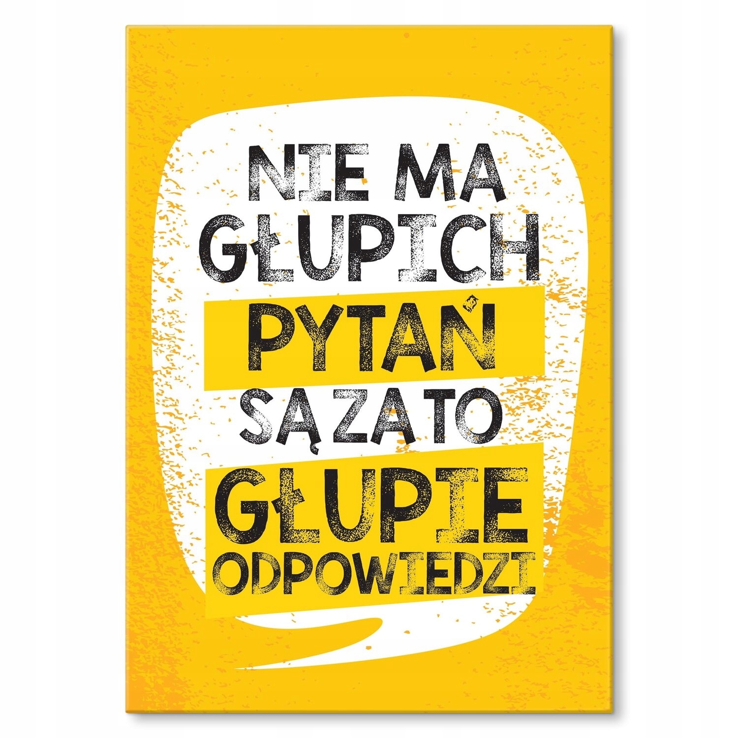 Kovový plakát Neexistují žádné hloupé otázky Štítek Plech 30 x 42 cm Dárek