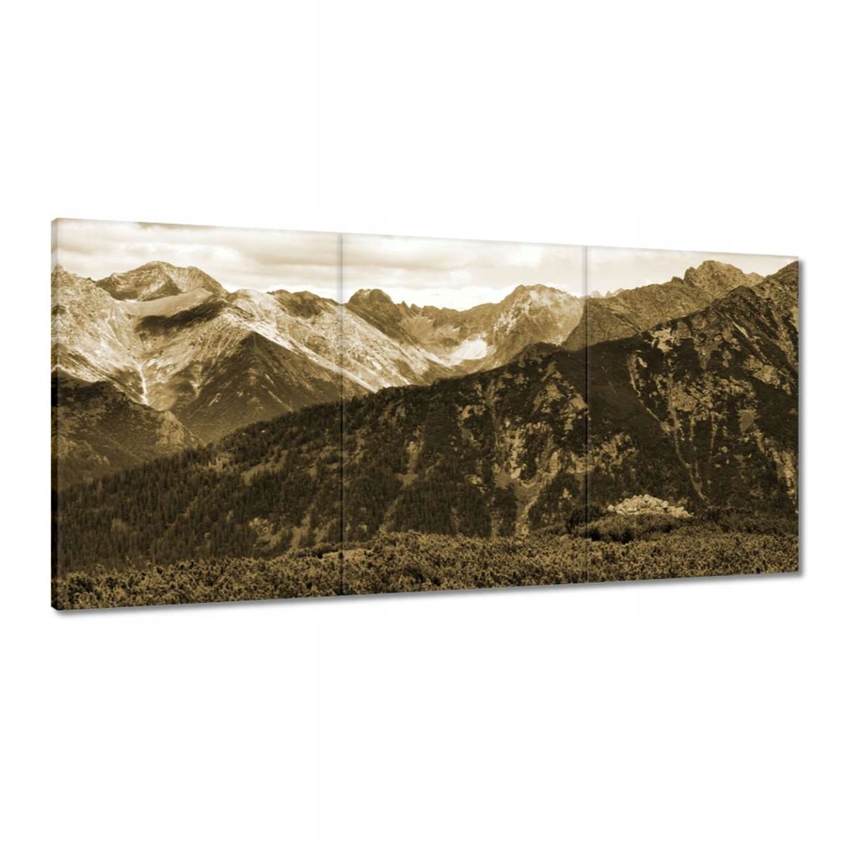 Obrazy 180x90 Tatry Poľské hory Pohľad