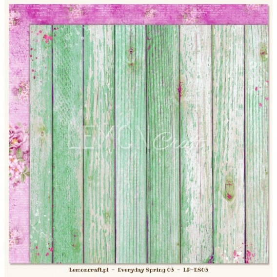 Papier do scrapbookingu 30,5x30,5 cm LP-ES03