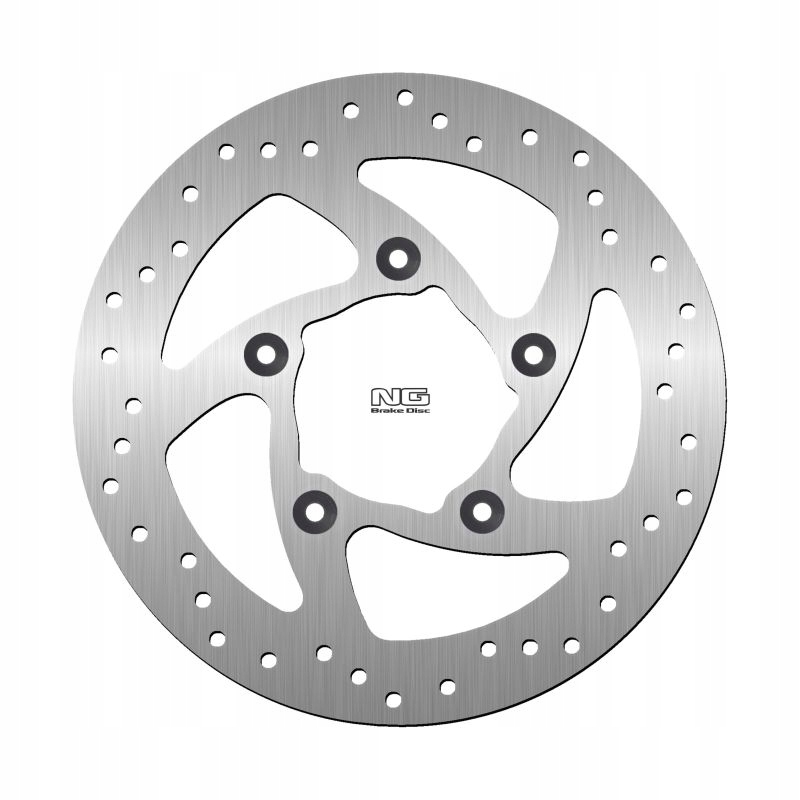 Ng Brzdový Kotúč Zadný Harley Davidson V-rod 1250 '07-'11 (300X100X7MM) (5