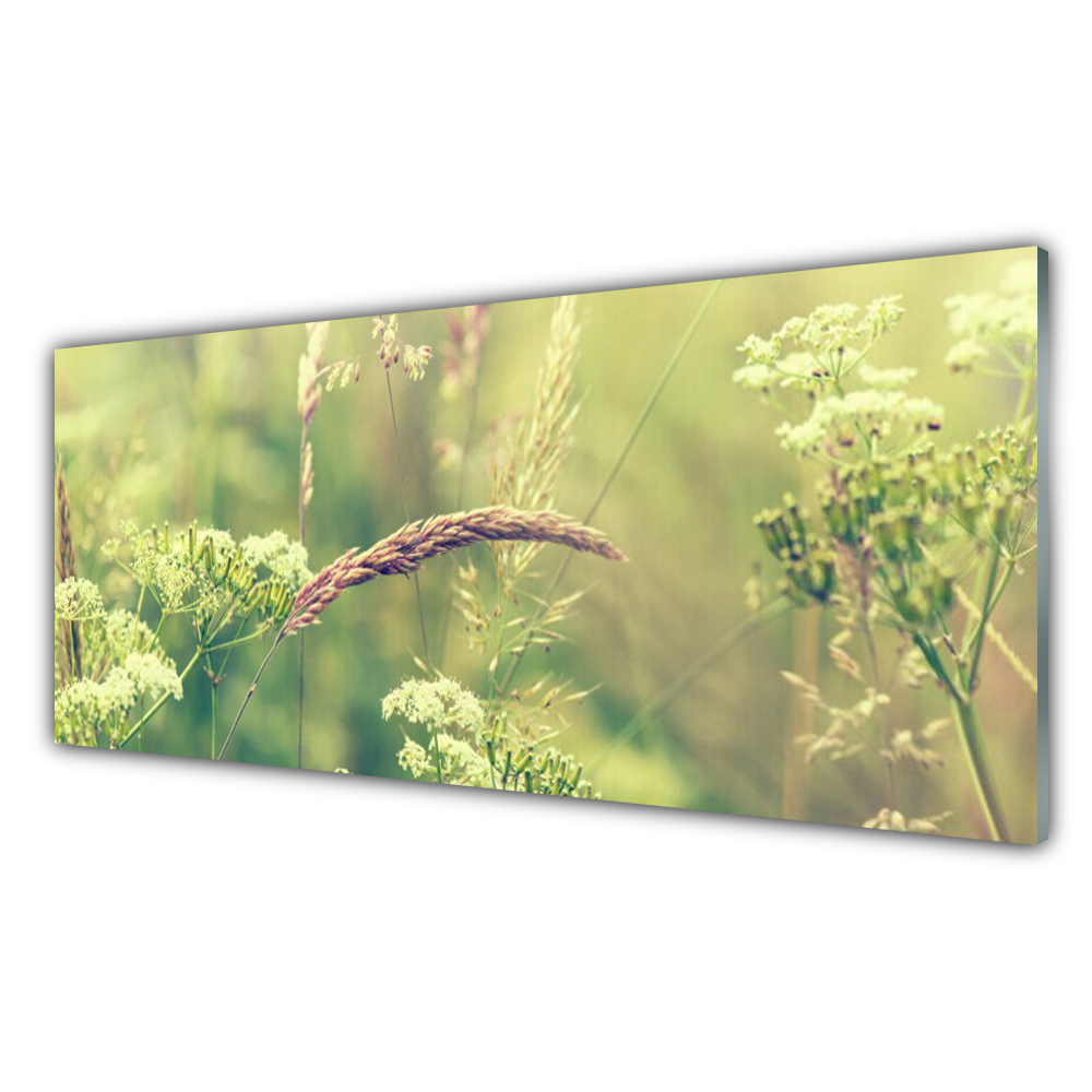 

Fotoobraz z nadrukiem 125x50 Dzikie Rośliny Natura
