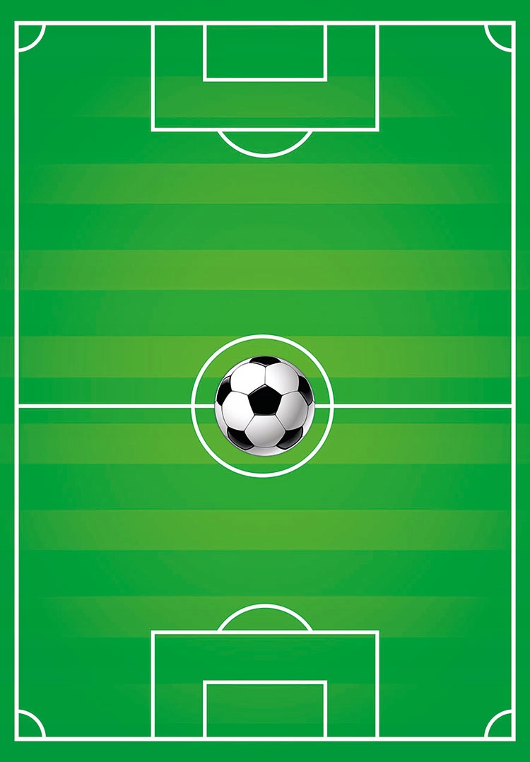 

Dywan Digital 160 x 230 CM Boisko Uefa Nowość Hit