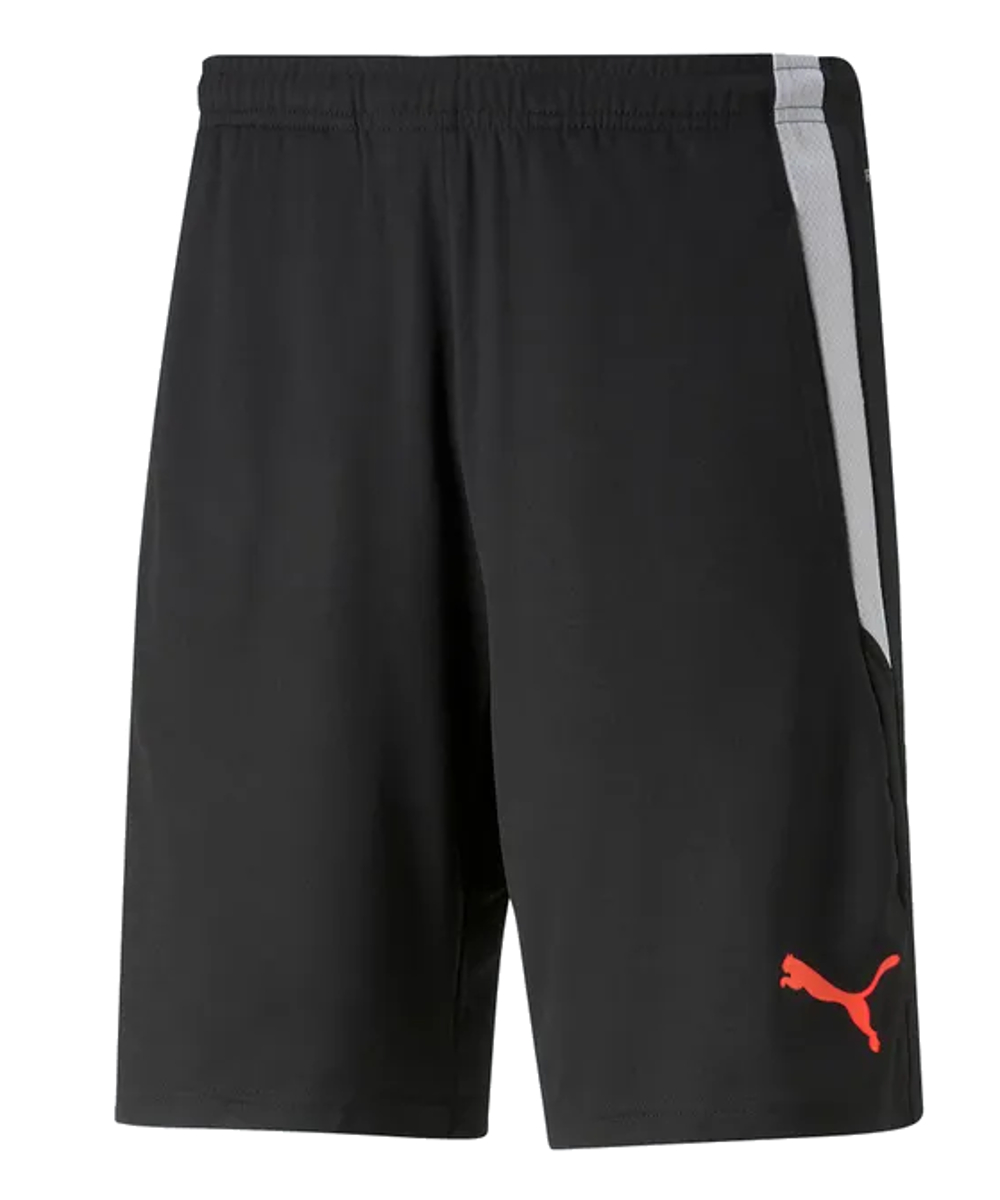 Spodenki męskie Puma 657667-48 piłkarskie S S