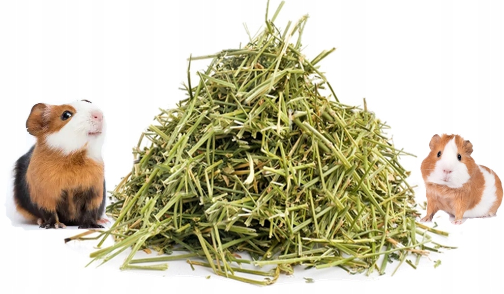 Levně Seno od farmáře, letošní 11 kg sena pro nejhezčí prasátko, může krmivo