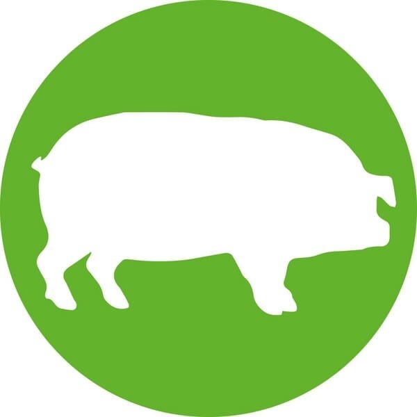 Strzykawka TU-Flex-Master A 10 ml LL 8300028713 Marka inny