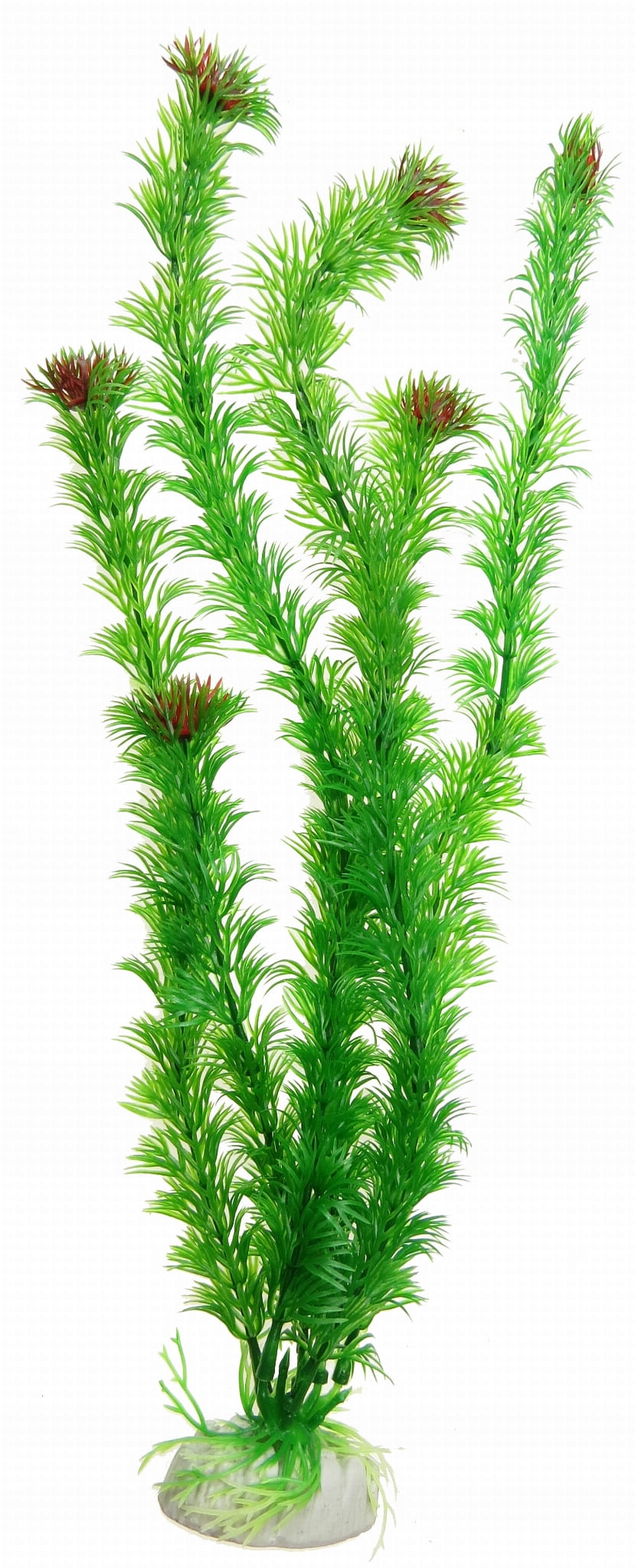 

Roślinka Sztuczna Do Akwarium 40cm Dekoracja M001