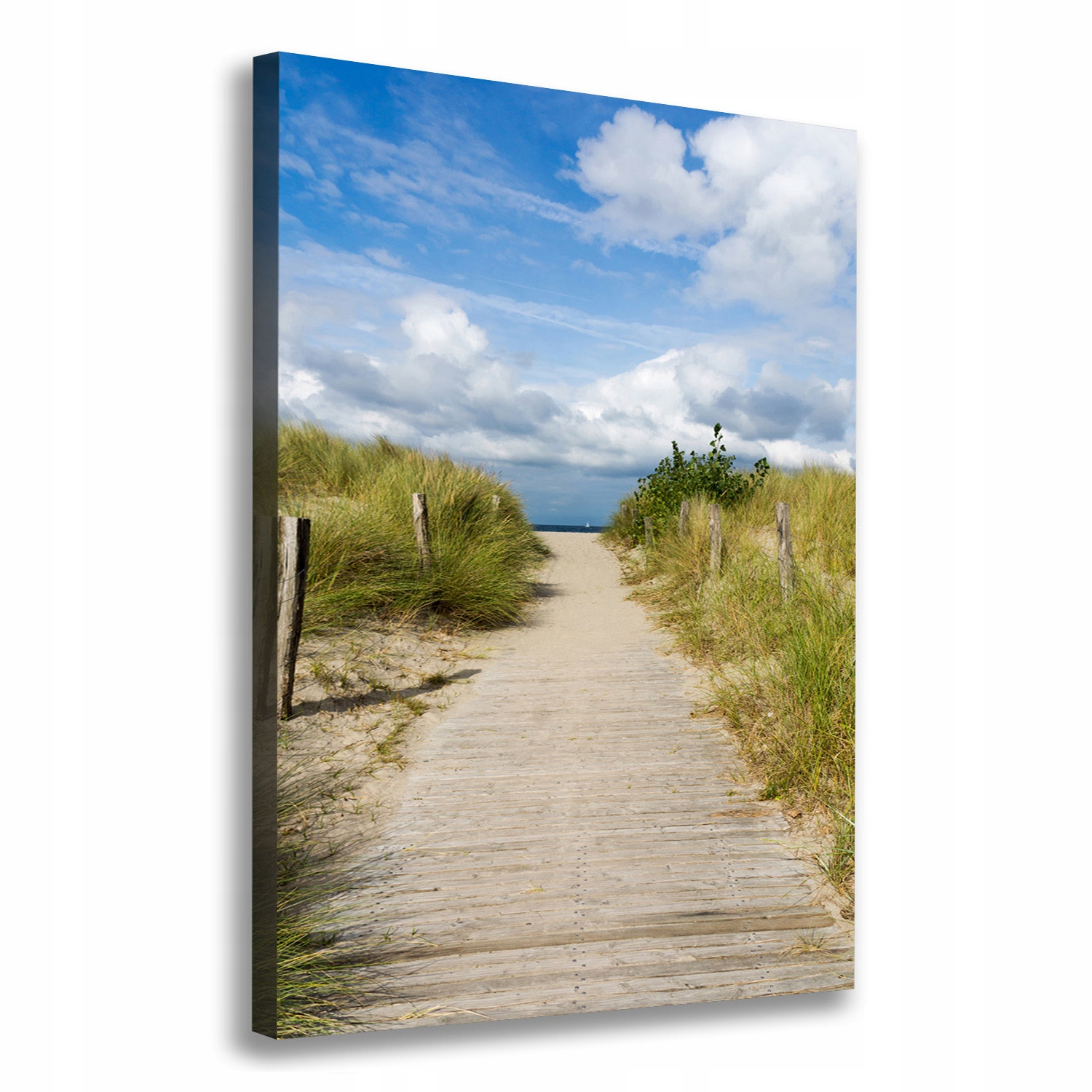 

Foto obraz na płótnie Ścieżka na plażę 70x100 cm