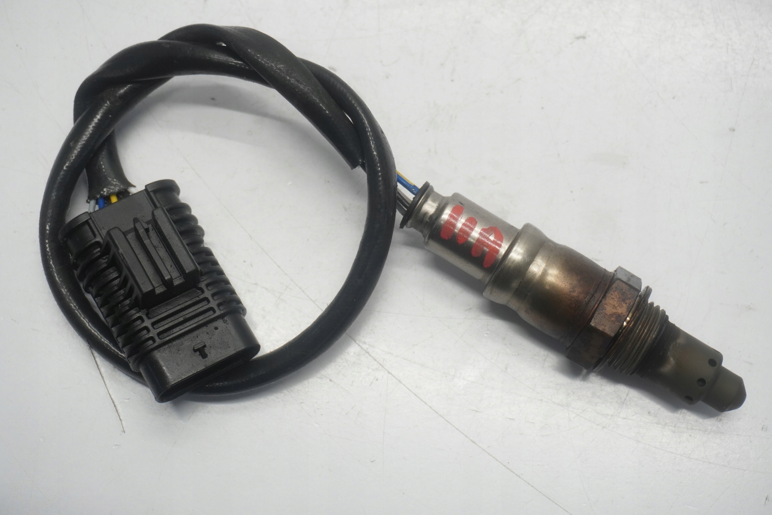 BMW F 850 GS ADVENTURE 19-23 SONDA LAMBDA