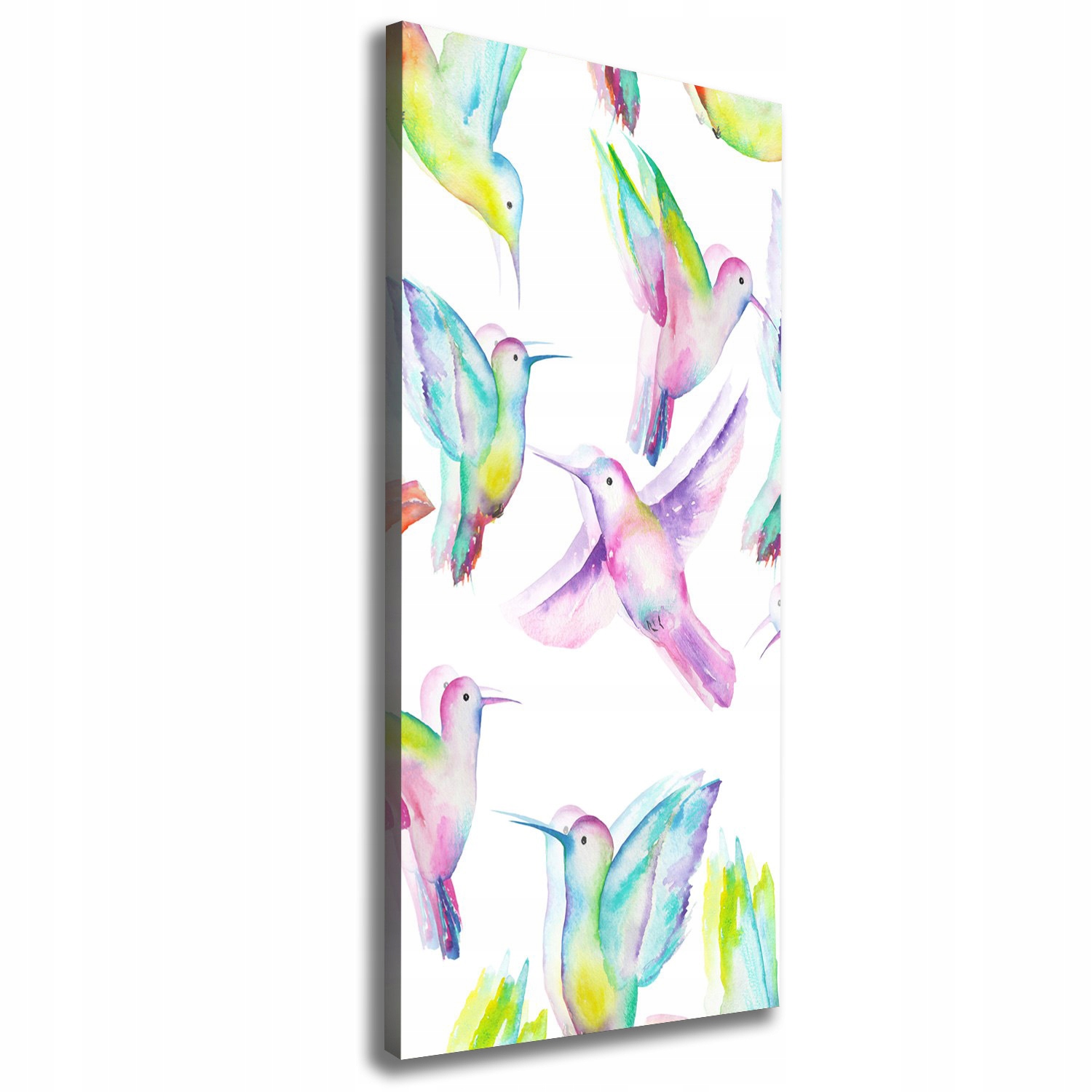 

Foto obraz na płótnie Kolorowe kolibry 50x125 cm