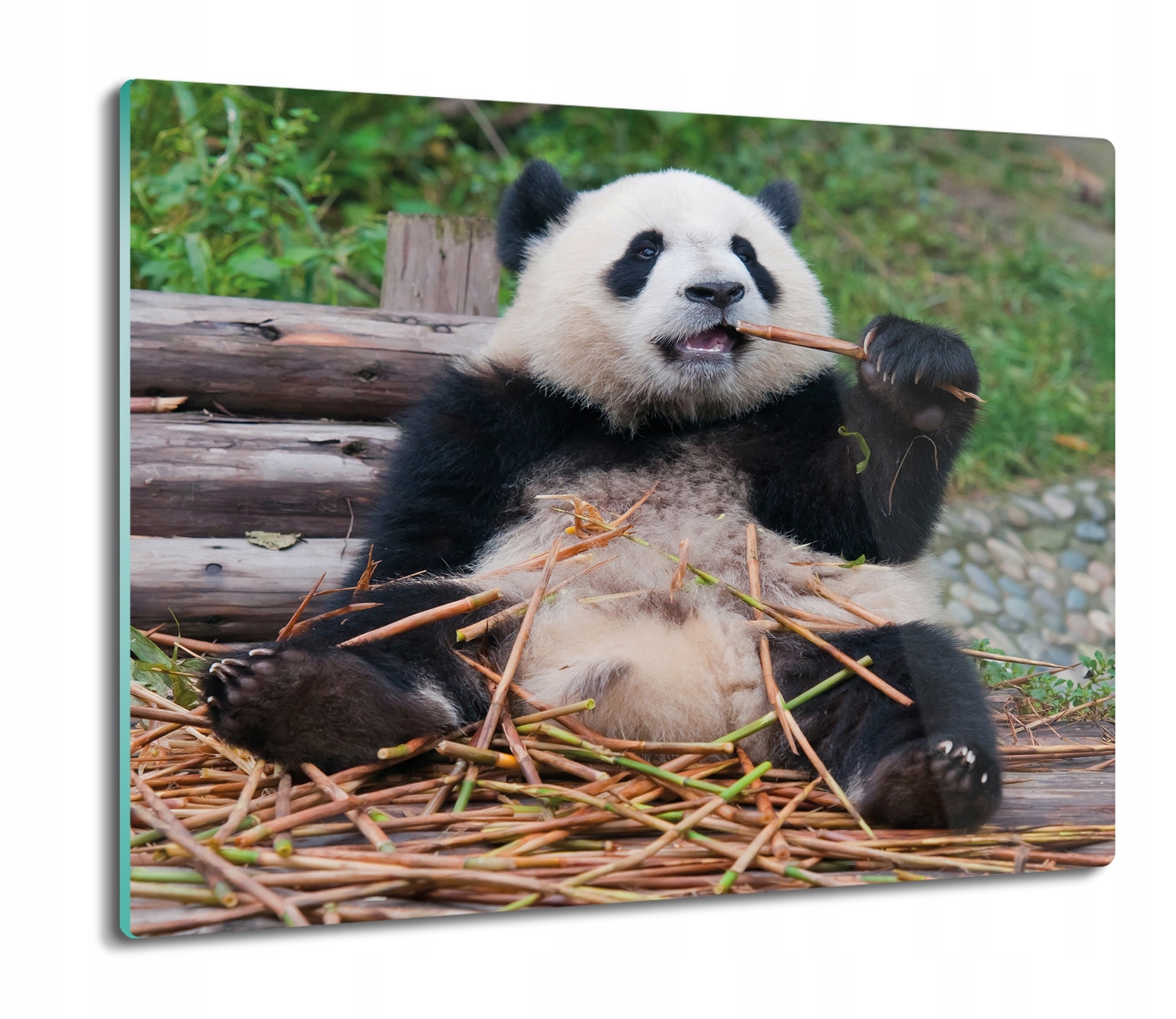 

Panda bambus 60x52 deska nowoczesna do krojenia