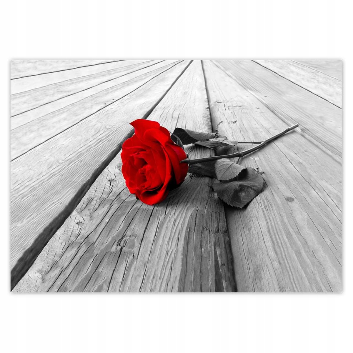 Fototapety 312x219 Ruža darček na Deň sv. Valentína