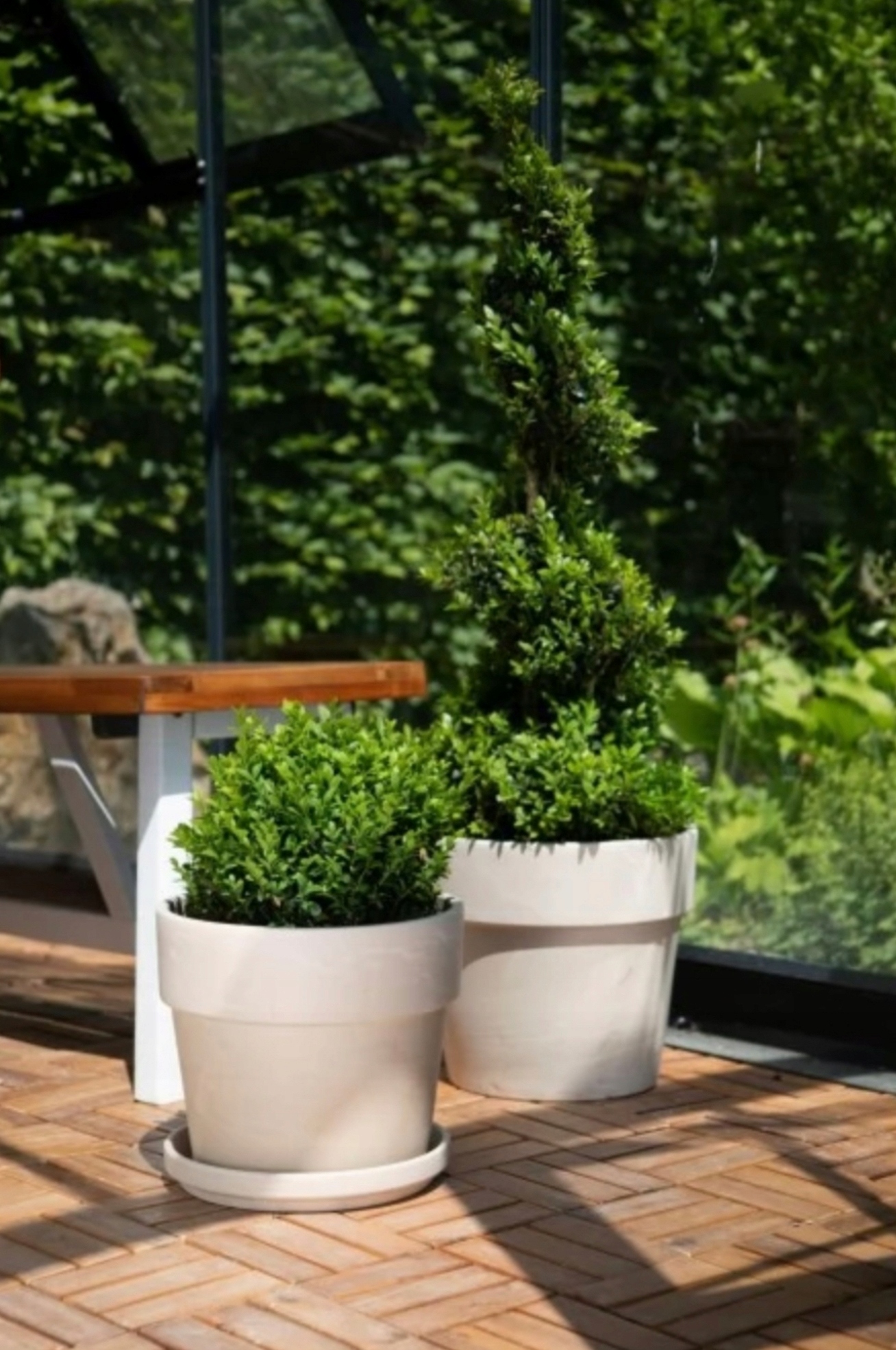 Podstawka pod doniczkę TERAKOTA CERMAX średnica 22cm JASNA EAN (GTIN) 4013921054362