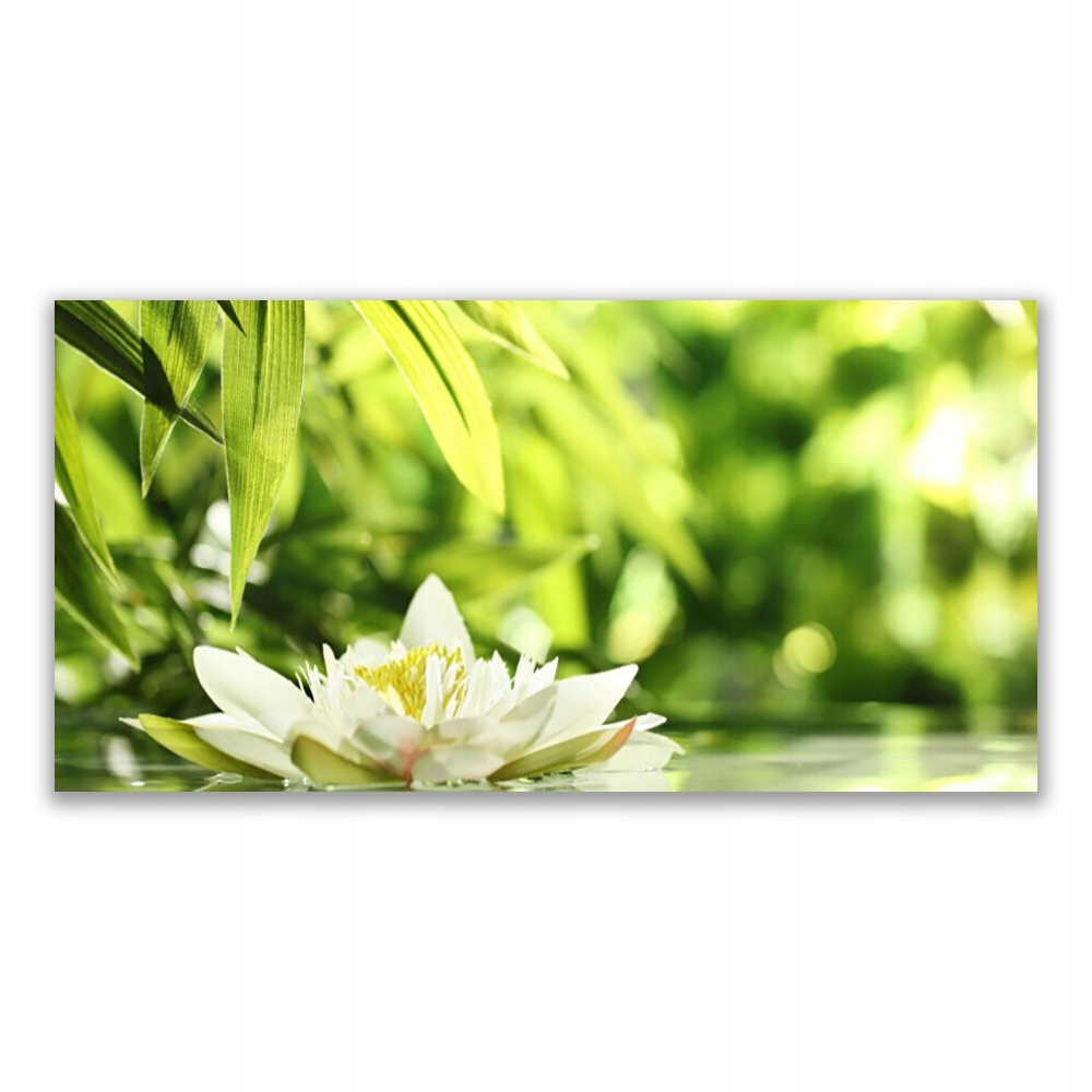 

Fotoobraz akryl nowoczesny 140x70 cm Kwiat Liście