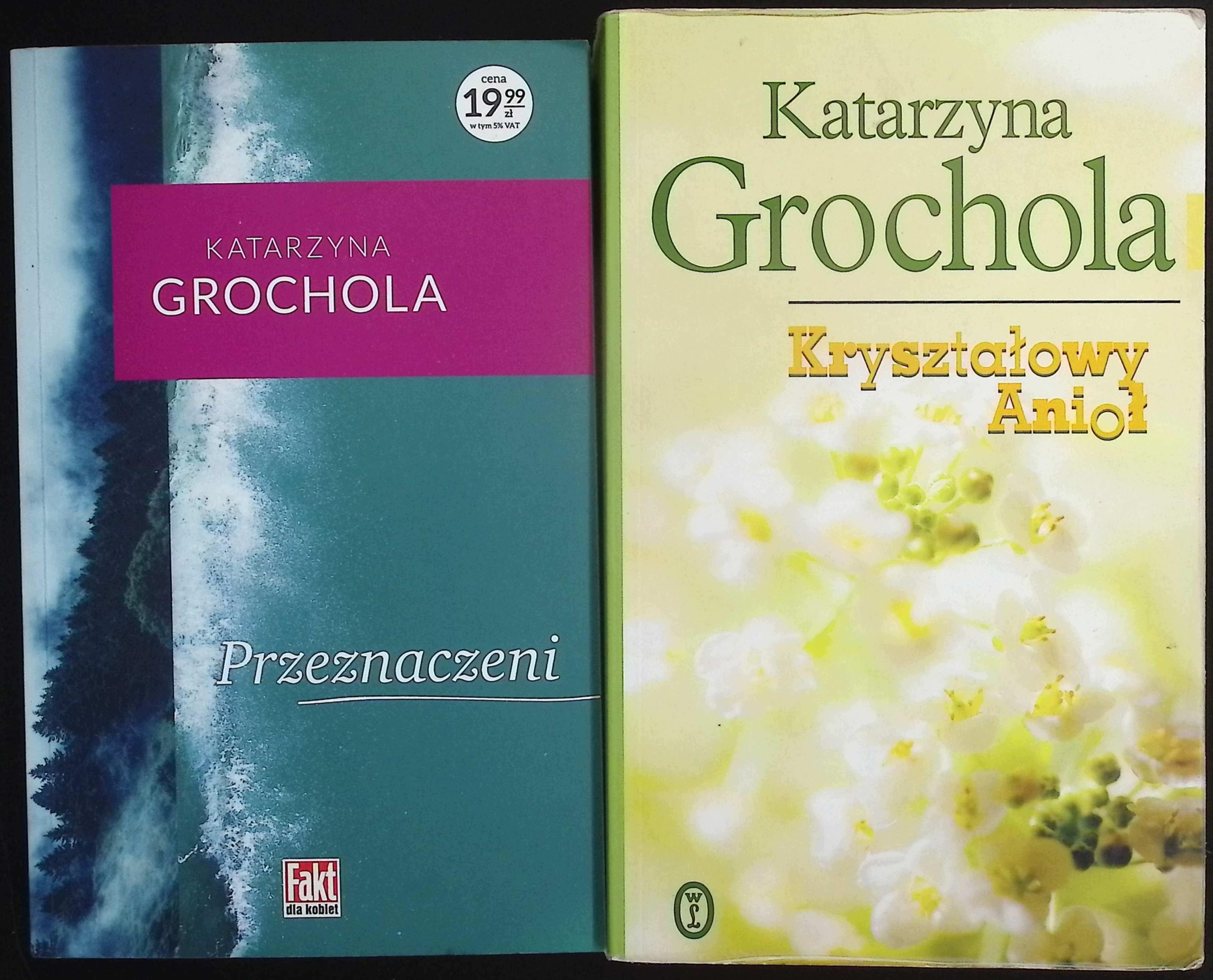 Przeznaczeni/ Kryształowy anioł Katarzyna Grochola