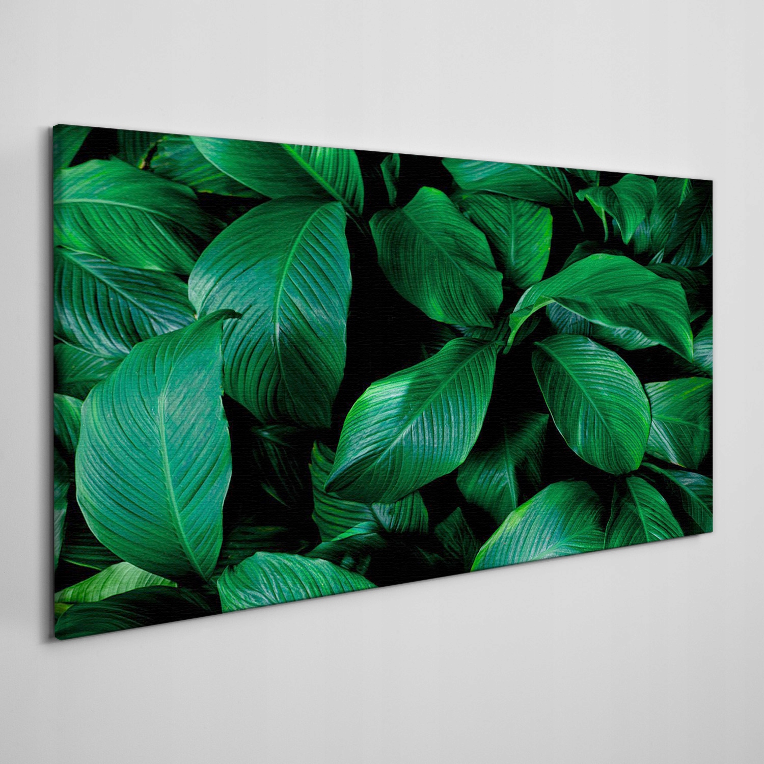 

Obraz na płótnie Kwiat liście rośliny 140x70 cm
