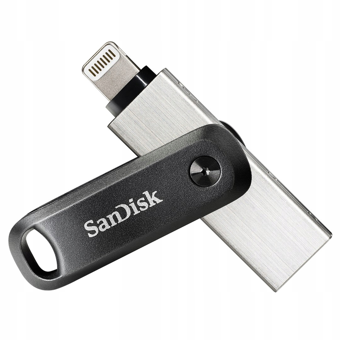 Pendrive SanDisk iXpand Flash Drive Go Usb Type-C 256GB