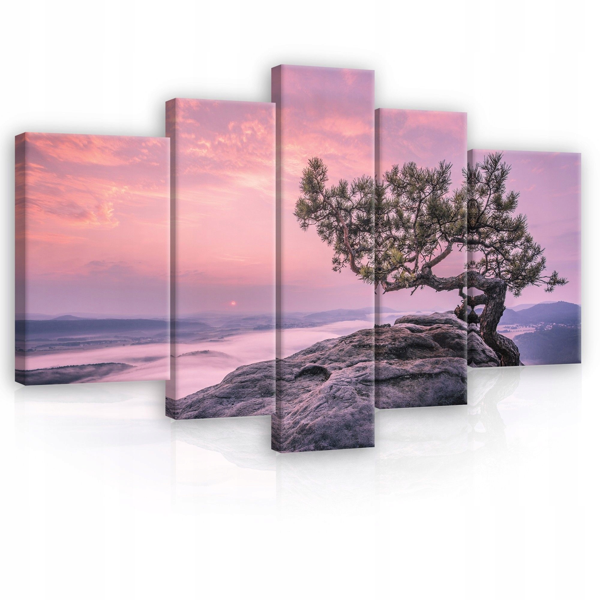 Obraz 170x100 Úsvit soumraku mlha hory skála strom klid příroda