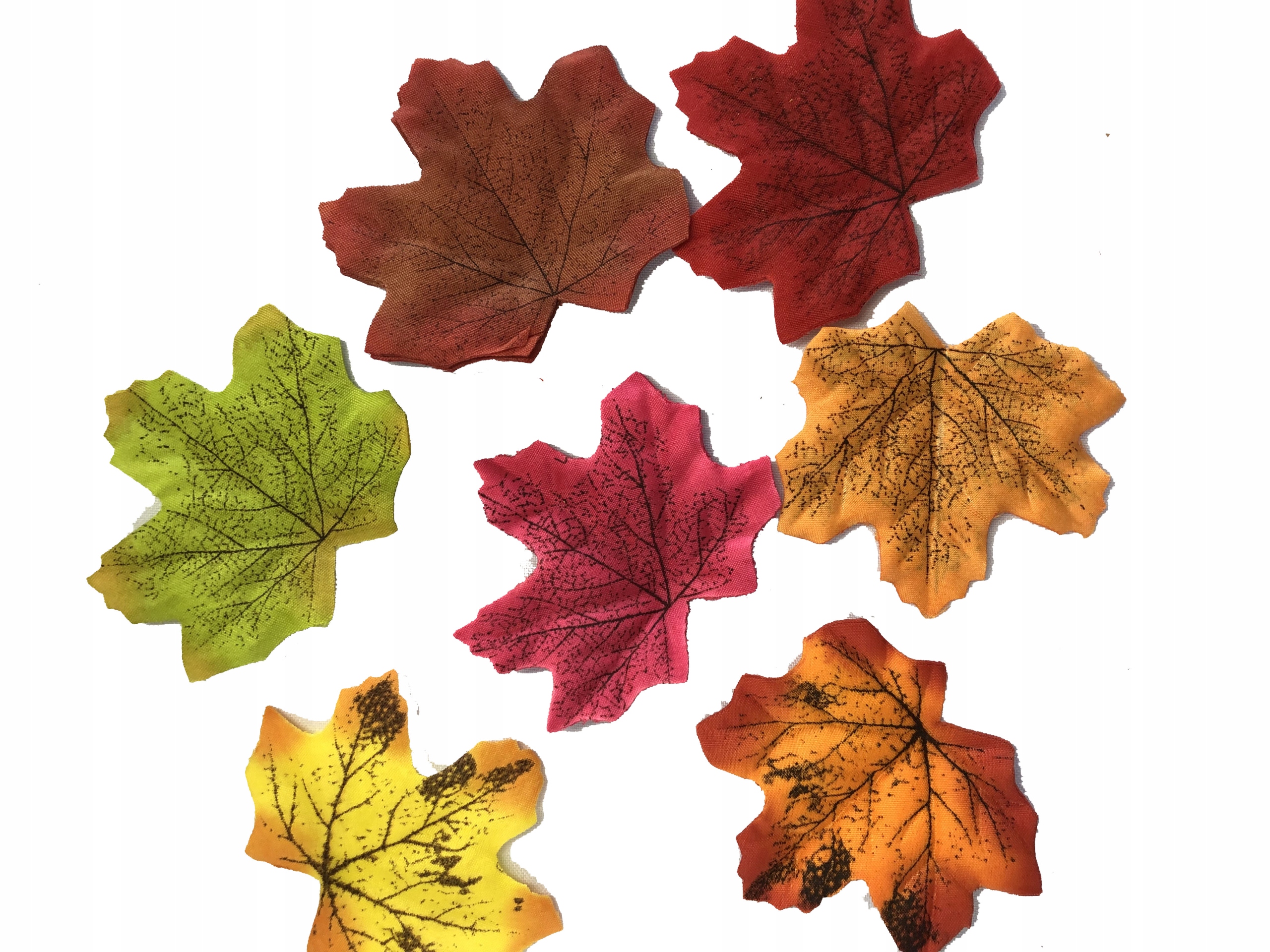 LIŚCIE KOLOROWE KLONU LISTKA MATERIAŁOWE JESIENNE Rodzaj liście