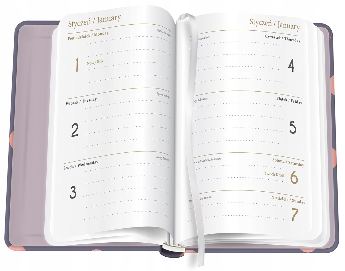 KALENDARZ 2024 B6 PLANER TERMINARZ TYGODNIOWY DOTS Producent Interdruk
