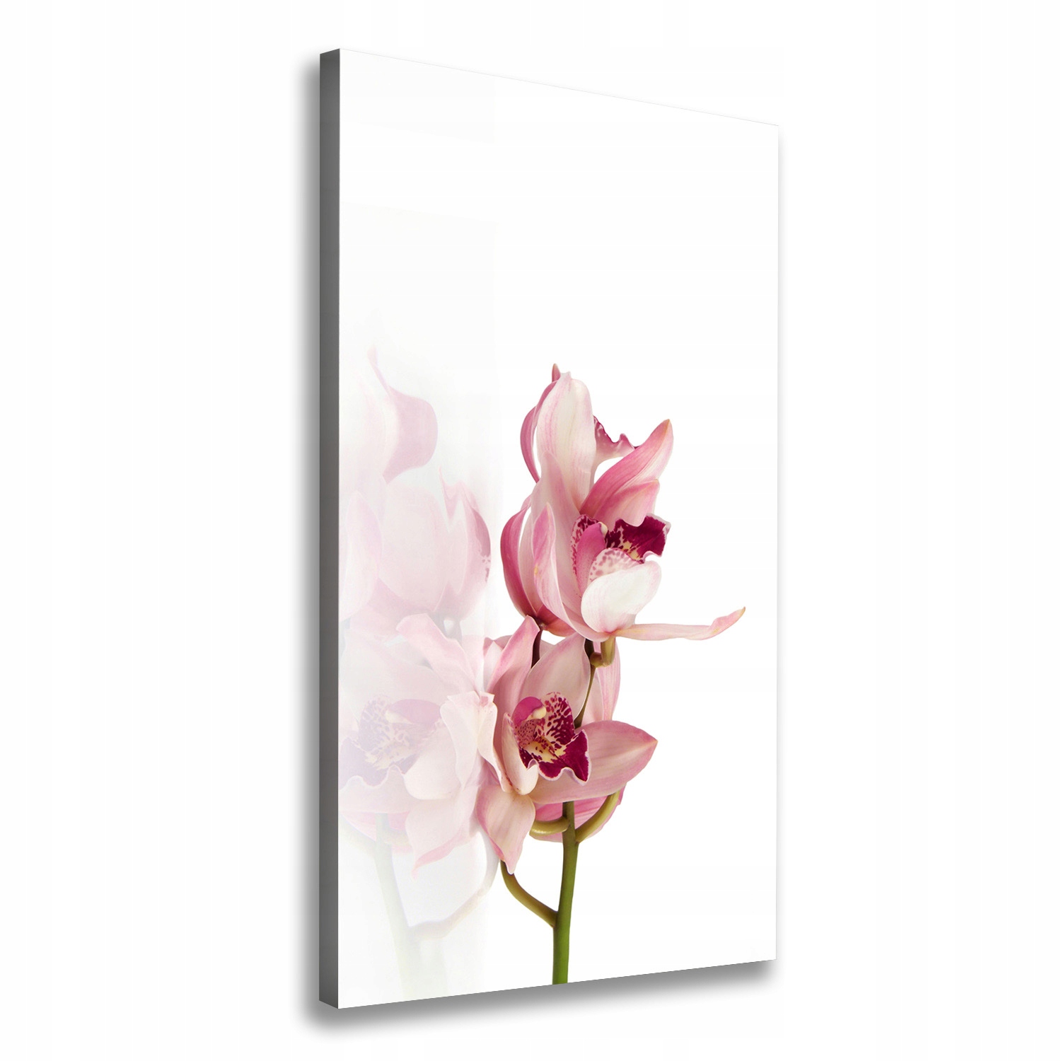 

Foto obraz na płótnie Różowa orchidea 60x120 cm