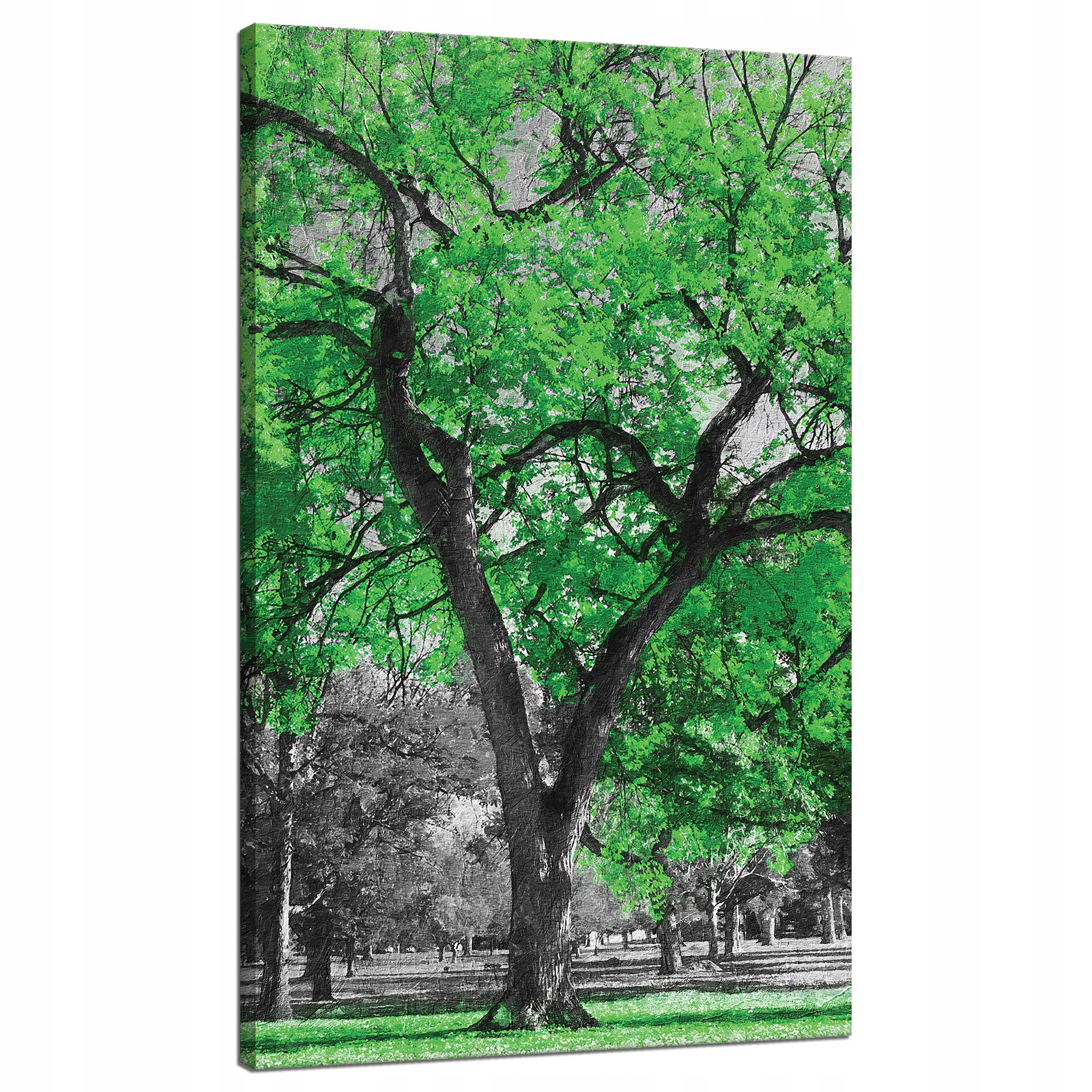 Obraz na plátně Černé Stromy Zelené Listy Umění 70x120 cm