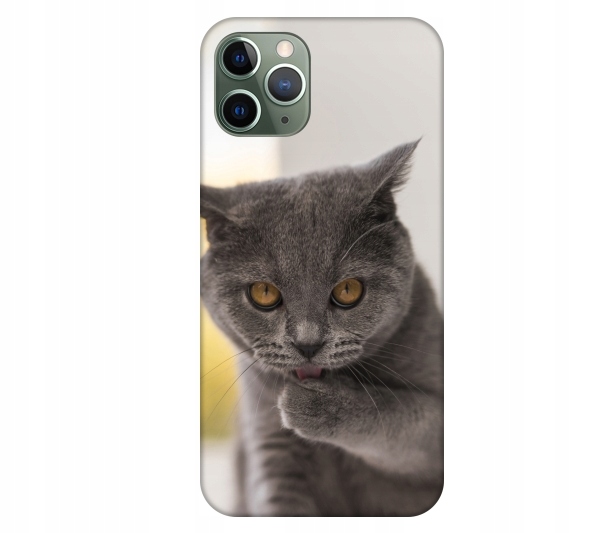 

Etui pokrowiec do iPhone 11 Pro Kot kotek smieszne