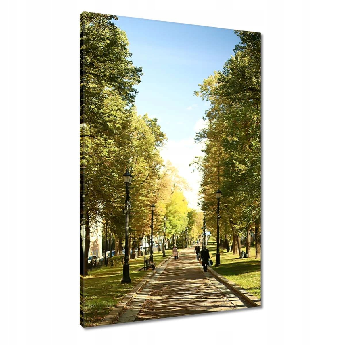Obrazy 60x90 Park v letním období