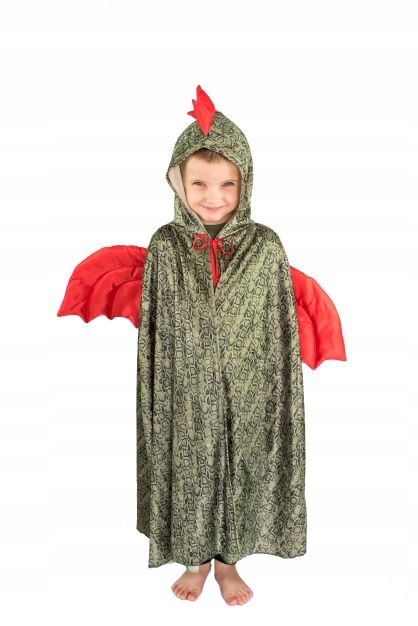 Smok strój Smoka Kolor dominujący zielony