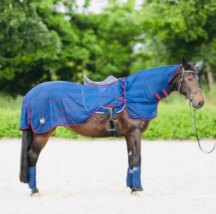 DERKA SIATKOWA PRZECIW OWADOM MUCHOM DLA KONIA 135 TRENINGOWA