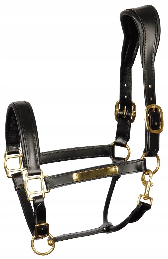 Uzda kožený pro koně Harry's Horse Anatomic černý Cob