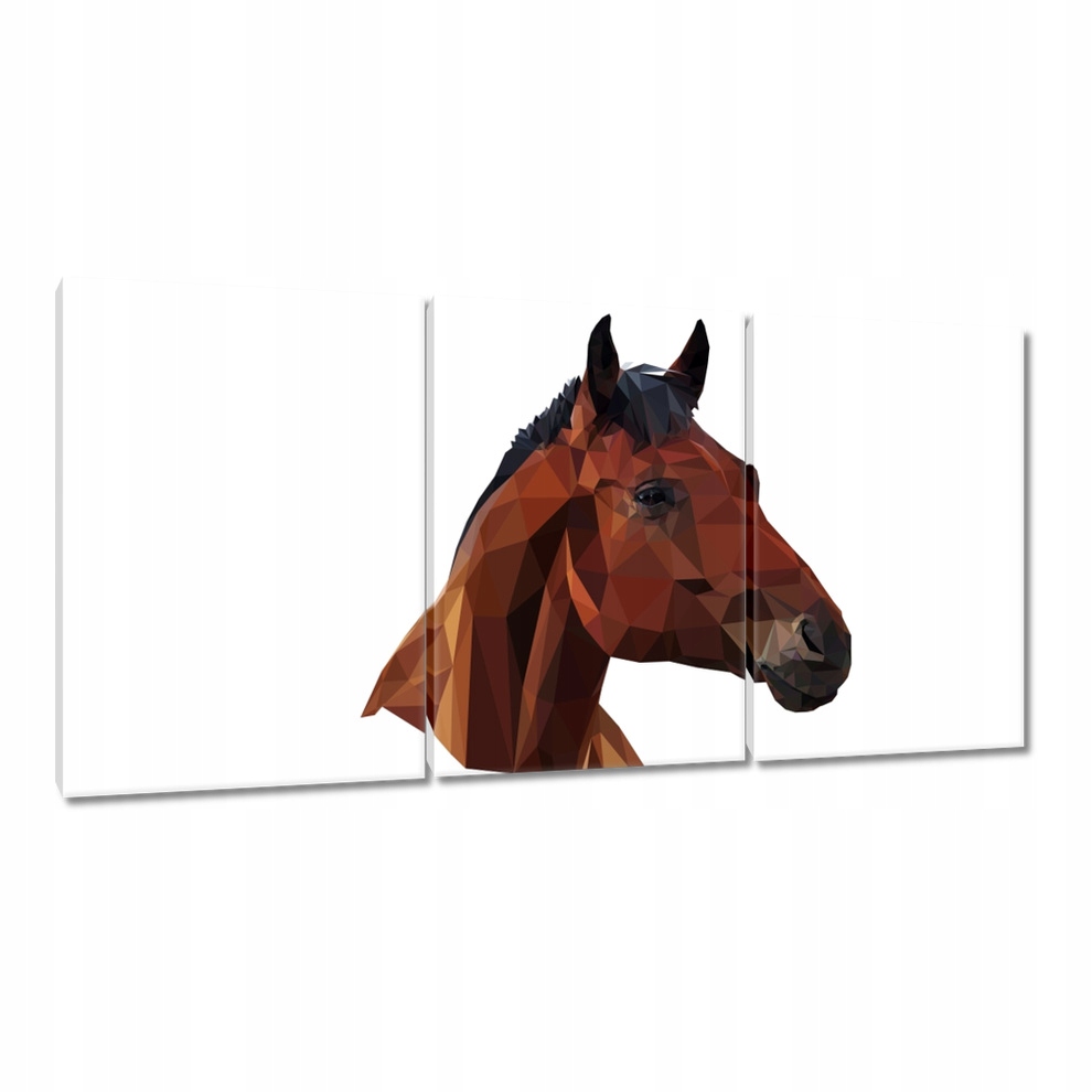 

Obrazy 120x60 Łeb konia Koński Łeb