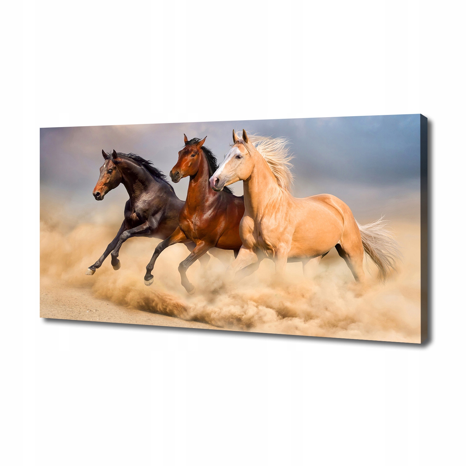

Foto obraz na płótnie Konie w galopie 140x70 cm
