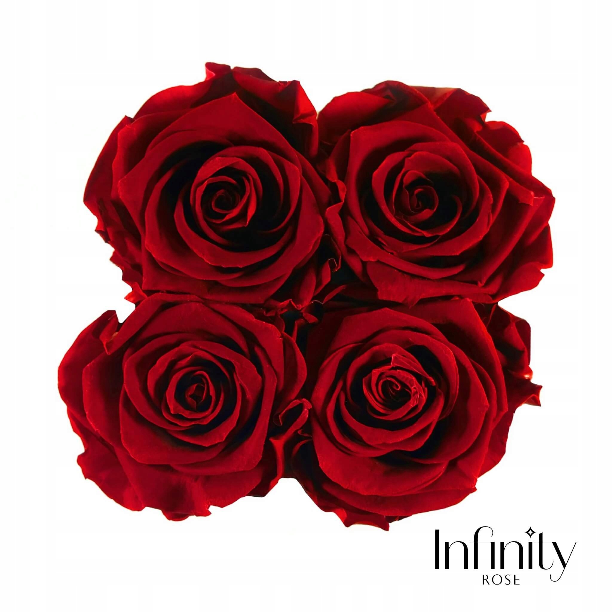 Czarny Flower Box NATURALNE wieczne róże czerwone Marka Infinity Rose