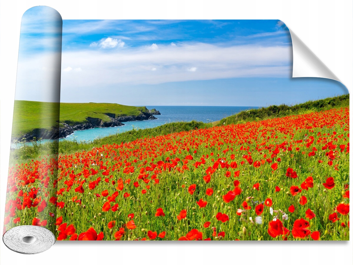 

Fototapeta Samoprzylepna Pole maków 416x254