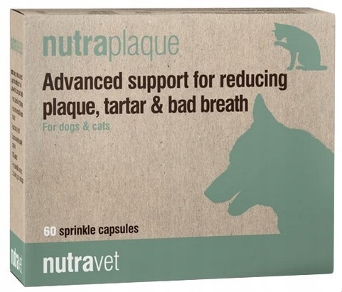 Nutravet Nutraplaque dla psów i kotów 60 kaps.