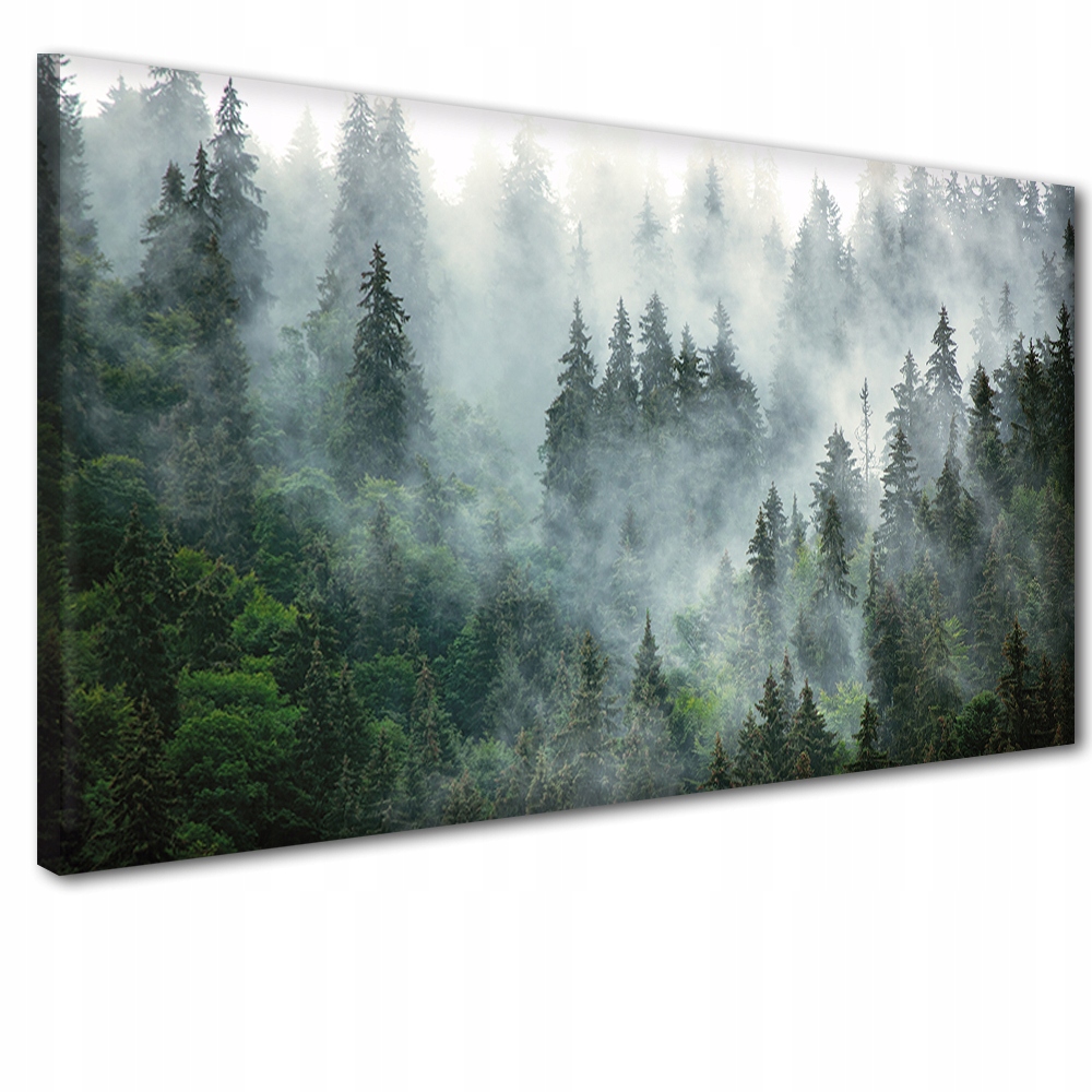 

Obraz obrazy na ścianę ścienne 60x120