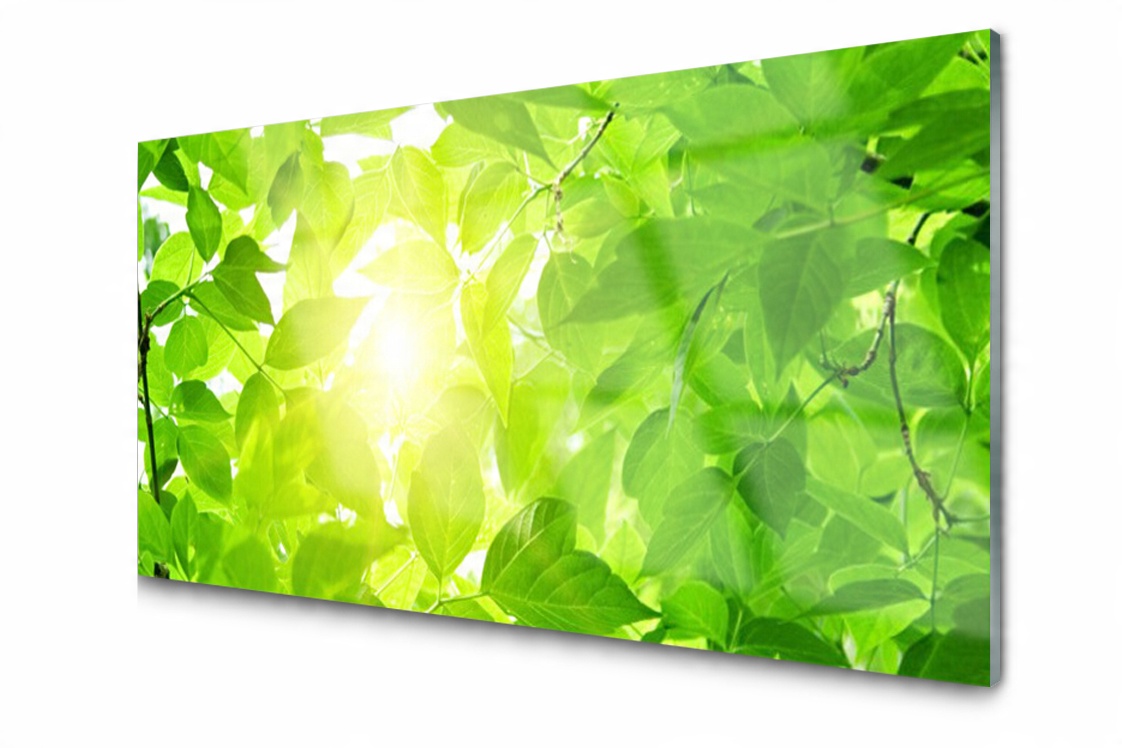 

Panel szklany Płytka Liście Słońce 120x60 + Klej