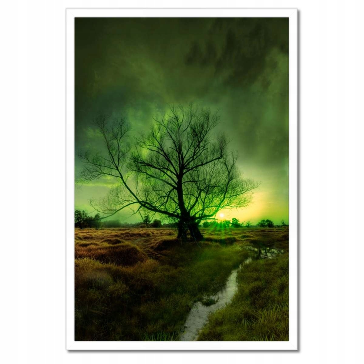 Plakáty v rámu 40x60 Rogalin
