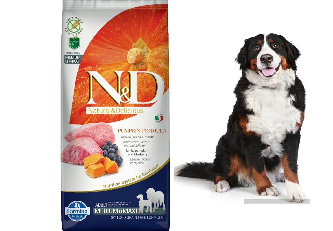 Levně Farmina N&d Pumpkin Grain Free Canine Adult Medium&Maxi Jehněčí&Borůvka...