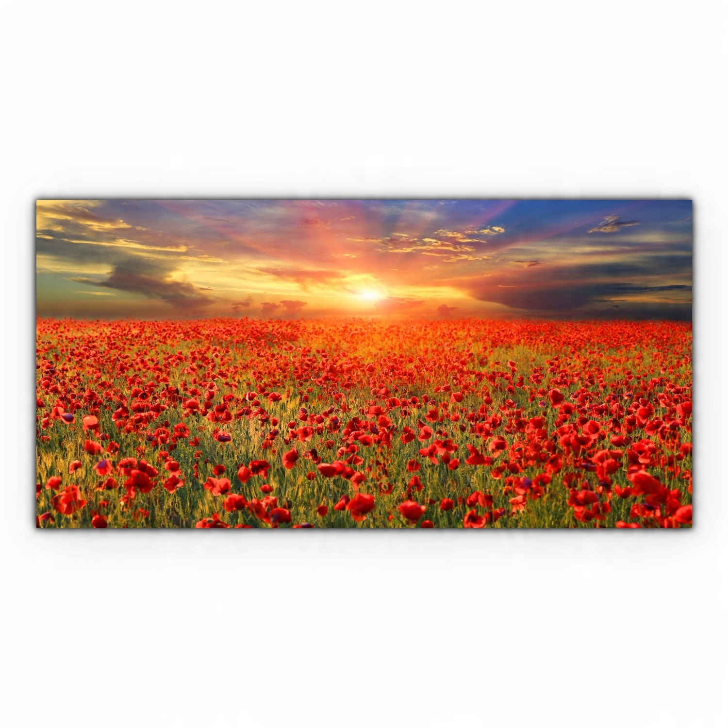 

Foto-obraz canvas 140x70 Pole Maki Zachód Słońca