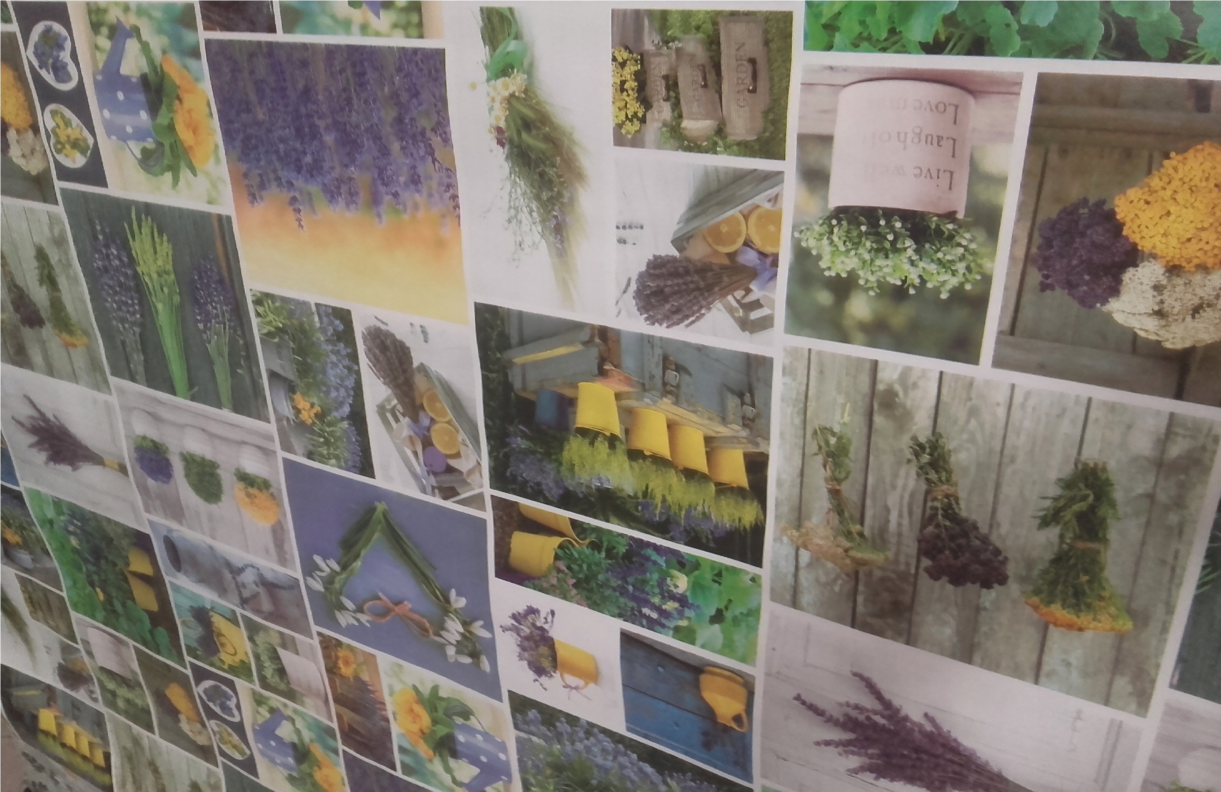 CERATA zmywalna OBRUS LAWENDA SERCA bratki kwiaty Typ obrus