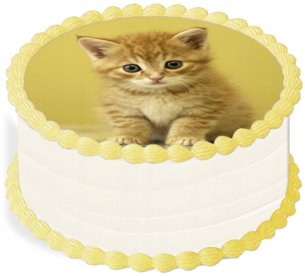 oplatek na dort 14 cm Zvířata Kočka Narozeniny