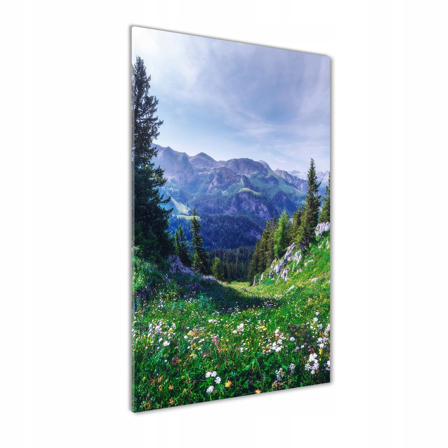 

Nowoczesny obraz zdjęcie na akrylu Alpy 60x120cm