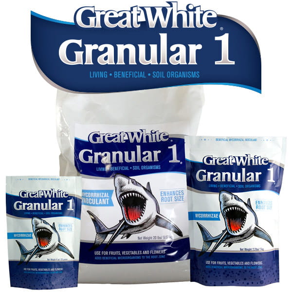 

Mikoryza Granulat Great White Granular One 1KG