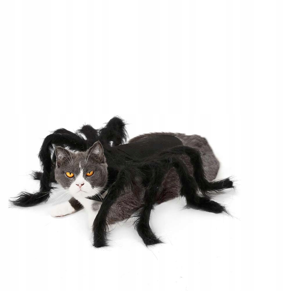 Kostiumy dla kotów Pies pająk kostium Marka inna